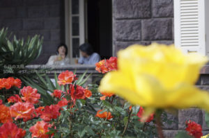 ［6］週２回目の古河庭園