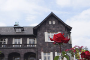 ［6］洋館とバラの花