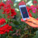 ［6］写真に撮るのを撮る！