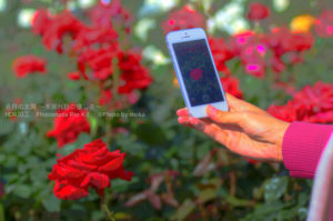 ［6］写真に撮るのを撮る！