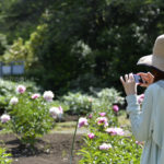 ［6］バラに負けない輝きを放つカメラ女子