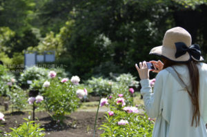 ［6］バラに負けない輝きを放つカメラ女子