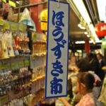 ［6］浅草寺の夏の風物詩の１つ、ほおずき市