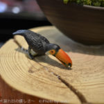 ［6］Nikon COOLPIX A 気になるニコンのデジカメ