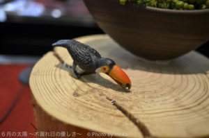 ［6］Nikon COOLPIX A 気になるニコンのデジカメ