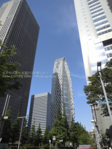 ［6］新宿の街を見上げながら歩いてみました