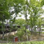 ［6］松戸にある本土寺。都心から1時間、マイナスイオン全快で新緑に包まれる