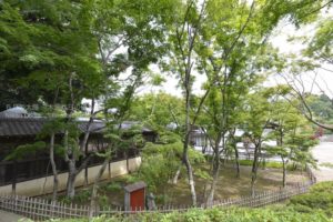 ［6］松戸にある本土寺。都心から1時間、マイナスイオン全快で新緑に包まれる