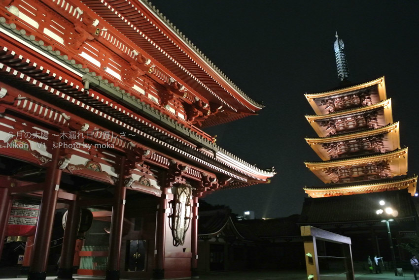 ［6］ライトアップされた浅草寺を楽しみませんか！？