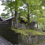 ［6］お寺に重厚な雰囲気をプラス、苔の世界を覗いて見ました！