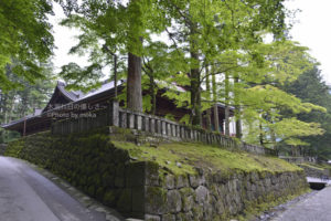 ［6］お寺に重厚な雰囲気をプラス、苔の世界を覗いて見ました！