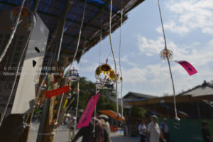 ［6］日本の夏を、音で感じて見ませんか！？