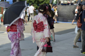 ［6］浅草夏の風物詩、ホウズキと浴衣姿