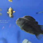 ［6］私にとって、夏の暑い日の撮影に最高な場所！