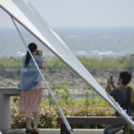 ［6］東京で海を眺めながら過ごせる場所と言ったら葛西臨海公園でしょ！？