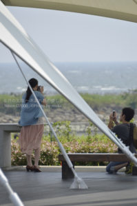 ［6］東京で海を眺めながら過ごせる場所と言ったら葛西臨海公園でしょ！？