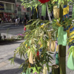 ［6］１年に１度出会える織姫と彦星、２０１３年は無事出会えそうですね！