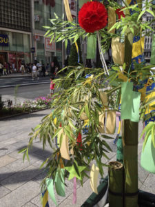 ［6］１年に１度出会える織姫と彦星、２０１３年は無事出会えそうですね！