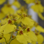 ［6］暑さを避けて写真を撮るために、、