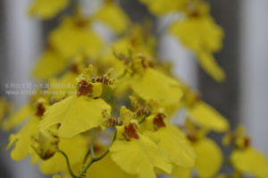 ［6］暑さを避けて写真を撮るために、、