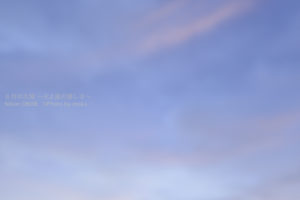 ［6］設定を誤って写した失敗写真。。