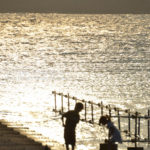 ［6］黄昏に染まる海でそれぞれの時間を過ごす