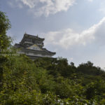 ［6］織田信長の天下統一の本拠地、岐阜城