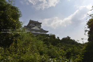 ［6］織田信長の天下統一の本拠地、岐阜城