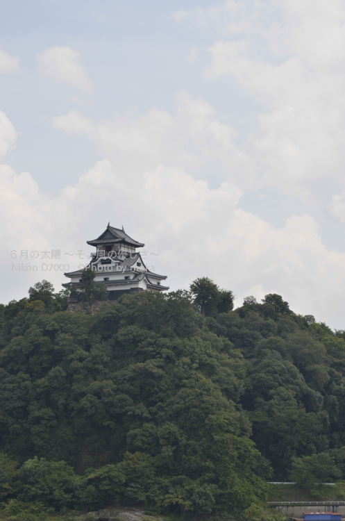 【写真撮影スポット】木曽川越しに国宝の犬山城を写真に撮ってみよう