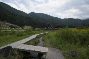 ［6］ふと現れる小学生の私。。遠いあの日の思い出！