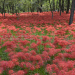 ［6］秋の楽しみ方！