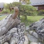 ［6］おーい、、亀ぇ〜！！