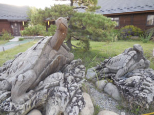 ［6］おーい、、亀ぇ〜！！