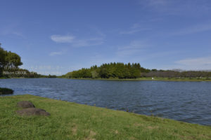 ［6］公園で、夏から秋への移り変わりを感じます