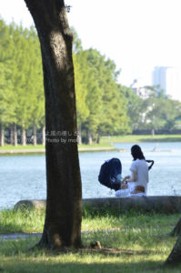 ［6］秋晴れの空の下、ゆっくりと時の流れを感じながら。