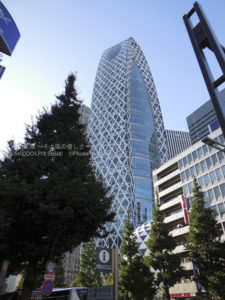 ［6］散歩も楽しい、新宿西口駅の前