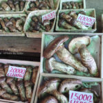 ［6］秋の味覚の王様といえば、、松茸