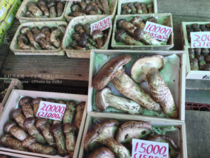 ［6］秋の味覚の王様といえば、、松茸