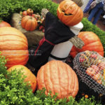 ［6］ディズニーリゾート３０周年記念のハロウィーン