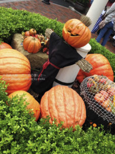 ［6］ディズニーリゾート３０周年記念のハロウィーン