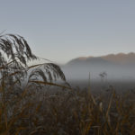 ［6］朝靄に包まれた男体山と戦場ヶ原