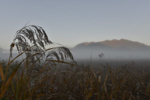 ［6］朝靄に包まれた男体山と戦場ヶ原