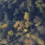 ［6］日光、湯ノ湖の湖面が映し出す紅葉