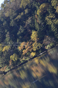 ［6］日光、湯ノ湖の湖面が映し出す紅葉