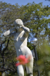 ［6］神代植物園で撮ったセクシーショット