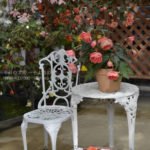 ［6］花に囲まれて、優雅にティータイムなんていかが！？