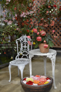 ［6］花に囲まれて、優雅にティータイムなんていかが！？