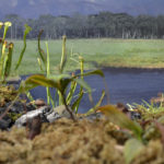 ［6］大きく深呼吸しながら大自然をピクニック！