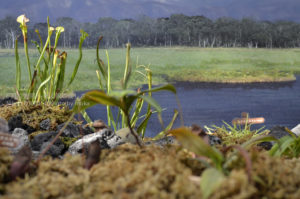 ［6］大きく深呼吸しながら大自然をピクニック！