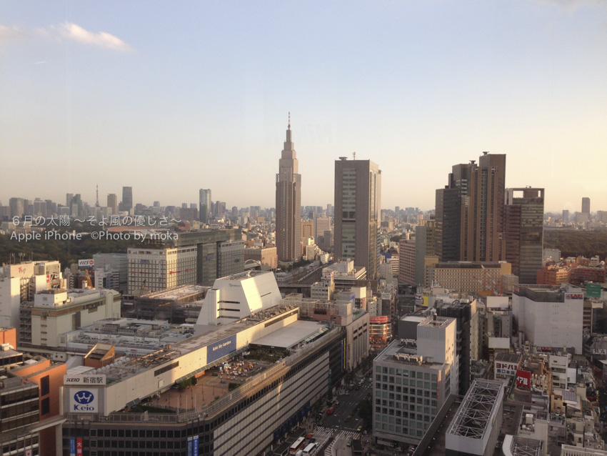 ［6］新宿エルタワーから見える景色